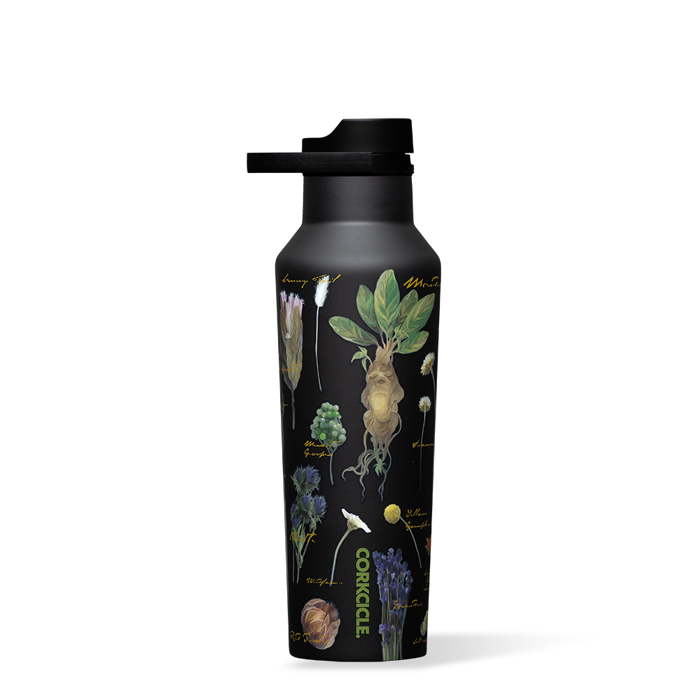 Harry Potter Sport Canteen - Active Companion T6