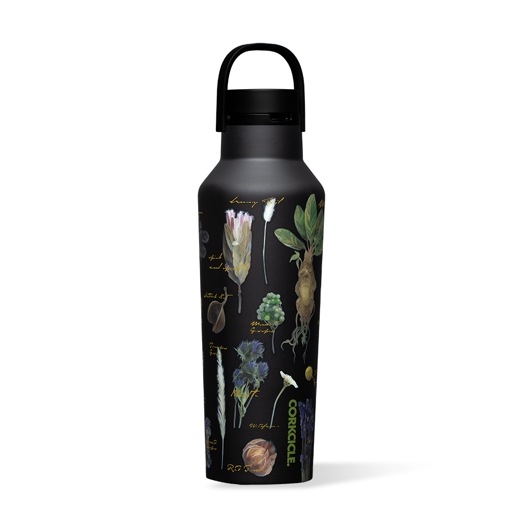 Harry Potter Sport Canteen - Active Companion T6